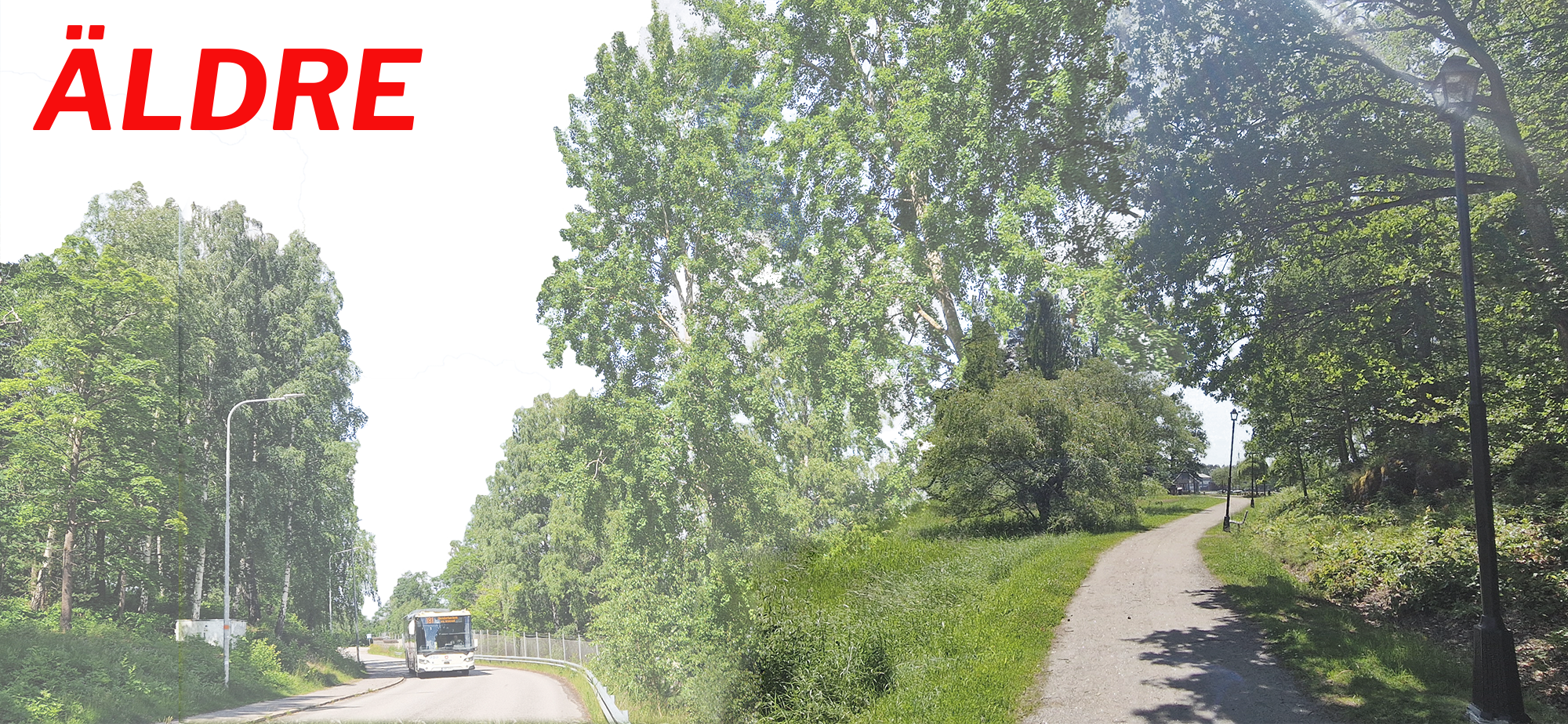Till vänster grönska och en buss på en bilväg. Till höger en smal grusväg samt grönska och en gatlampa. Text i bild: Äldre.
